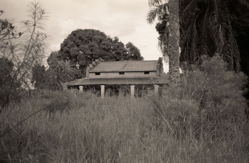 With nearly the entire population having fled, and those few remaining in hiding, the whole town is overgrown and silent. A ghost town.