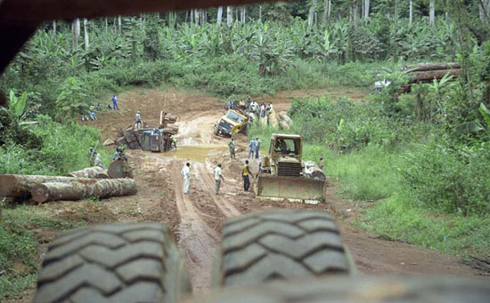 Candace Scharsu Photography -  Pygmies - Cameroon, Congo, Central African Republic