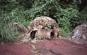 Candace Scharsu Photography -  Pygmies - Cameroon, Congo, Central African Republic