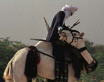 Candace Scharsu Photography -  The Tuaregs